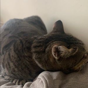 Meet your Posher, Dawn i